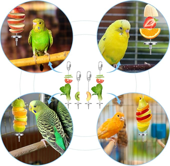 Daoeny 4Pcs Bird Feeder for Cage, Bird Foraging Toy, Stainless Steel Bird Food Holder, Small Animal Fruit Vegetable Stick Skewer, Hanging Food Feeding Treating Tool for Parrots Cockatoo Cockatiel Cage