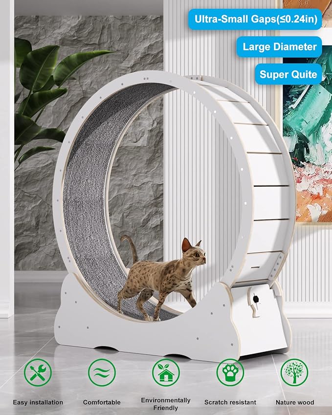 Cat Wheels for Indoor Cats. Extra Large Diameter Cat Treadmill. Made of Natural Solid Wood. Inside Diameter 40in/100cm. Including Installation Tools and Cat Teaser. (White)