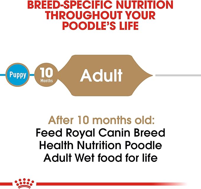 Royal Canin Poodle Adult Breed Specific Wet Dog Food, 3 oz. can