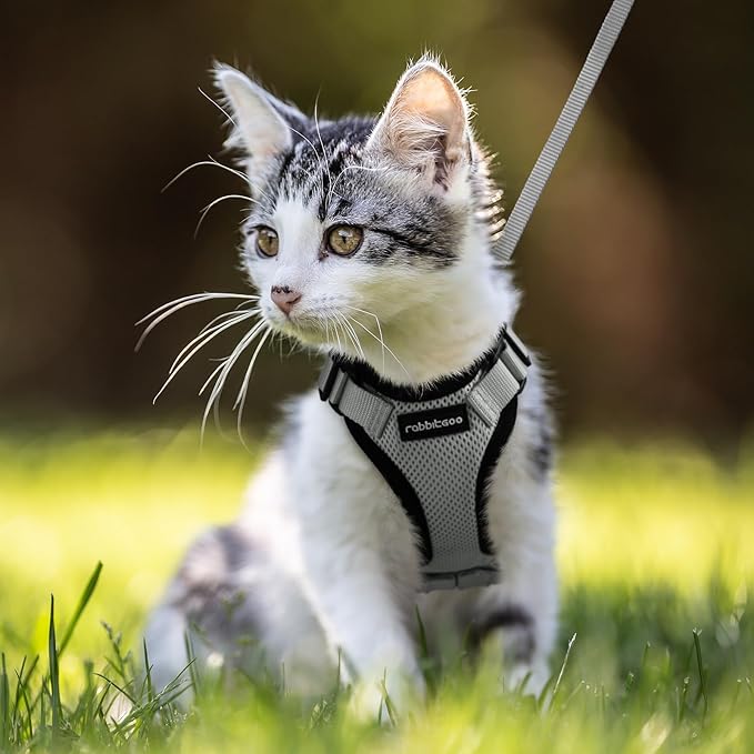 rabbitgoo Cat Harness and Leash for Walking, Escape Proof Soft Adjustable Vest Harnesses for Cats, Easy Control Breathable Reflective Strips Jacket, Grey, XXS