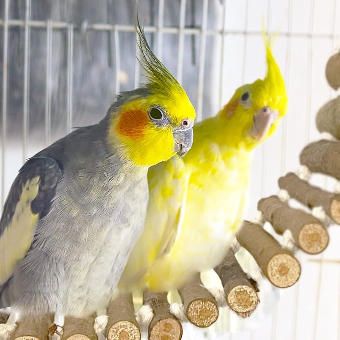 Bird Cage Ladder, Parrot Bridge Made of Natural Wood and Rope, Interactive Bird Toy for Small and Medium Sized Birds and Parrots, Parakeets, Cockatiels, Amazon Parrots, Conures etc.