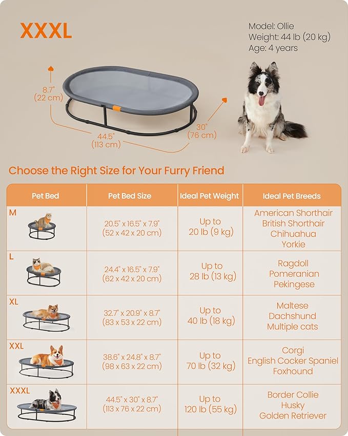 Feandrea Pet Bed, Elevated Dog Bed for Medium, Large Dogs, Cat Bed for Multiple Cats, with Removable Washable Mesh, for Pets up to 120 lb, Oval, Gray UPCB005G01