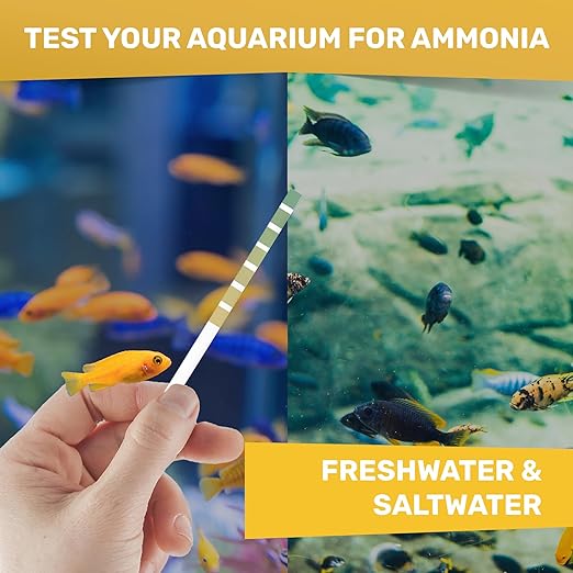 JNW Direct Ammonia Test Strips for Fish Tank - 50 Aquarium Test Strips, Saltwater & Freshwater Aquarium Test Kit, Accurate Aquarium Water Test Kit with Color Chart, Water Testing Kit Aquarium