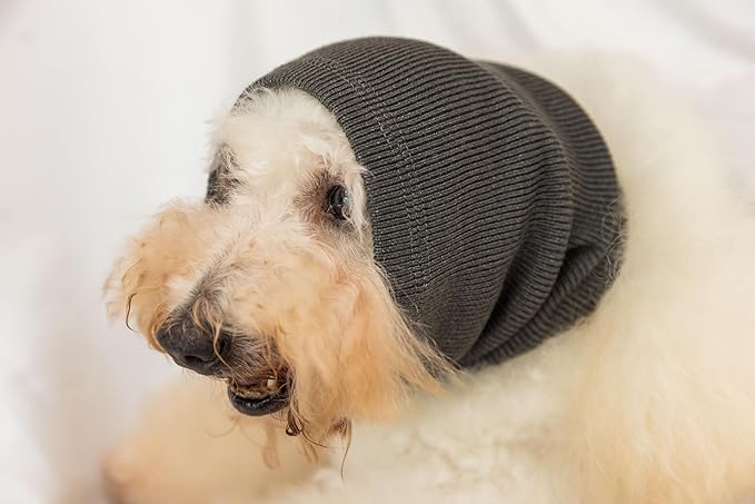 Ear Hematoma Dog, (2 Pack) Ear Muffs Snood Earmuffs No Wrap Ear Flap Soothing Hoodie for Dogs Grey+Purple L