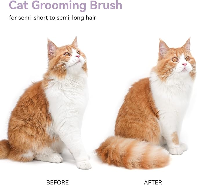 aumuca Cat Brush Dog Brush for Shedding, Cat Brushes for Indoor Cats, Cat Brush for Long or Short Haired Cats, Dog Hair Cat Grooming Brush Cat Comb for Kitten Rabbit Massage Removes Loose Fur, Purple