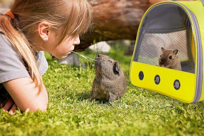 Guinea Pig Carrier Backpack, Clear Bubble Window Backpack for Guinea Pig, Bunny Rat Bird (Yellow, Carrier)