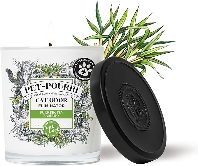 Pet-Pourri Pet Odor Eliminator Candle, Purrfectly Bamboo, 7.5 Oz - Bamboo (Veterinarian Recommended)