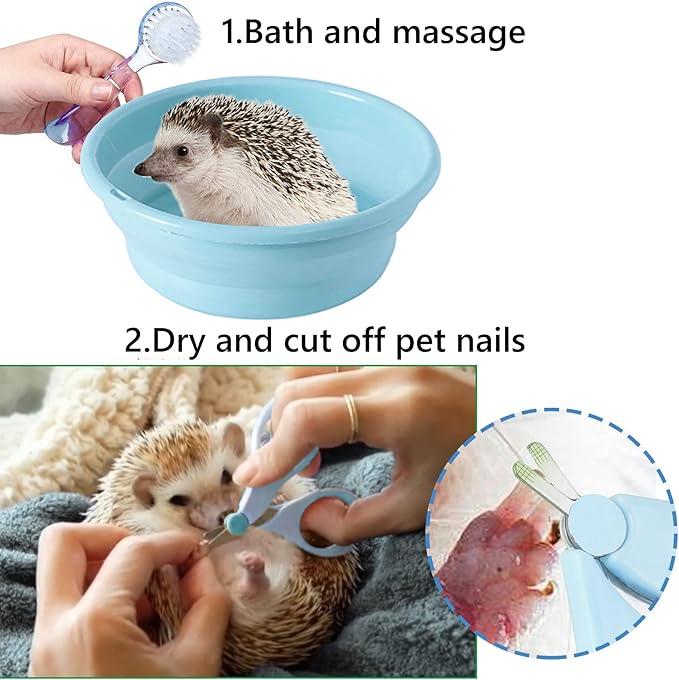 Hedgehog Supplies Hedgehog Bath Kit Plastic Foldable Hedgehog Bathtub, Hedgehog Nail Clippers, 2PCS Bathing Brush, Bath Towel, Pet Guinea Pig Bath for Small Animal