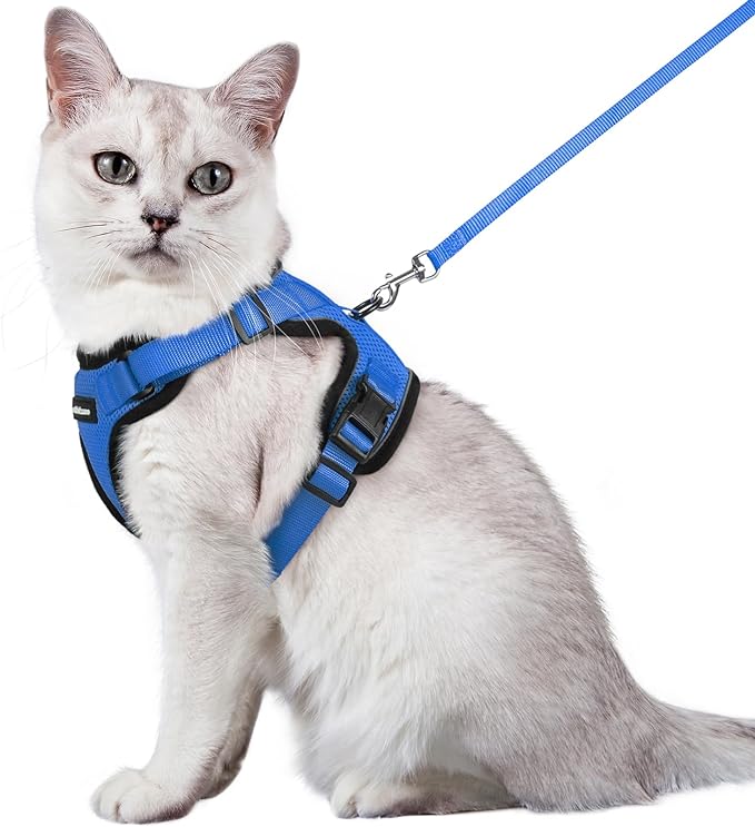 rabbitgoo Cat Harness and Leash for Walking, Escape Proof Soft Adjustable Vest Harnesses for Cats, Easy Control Breathable Reflective Strips Jacket, Navy Blue, M