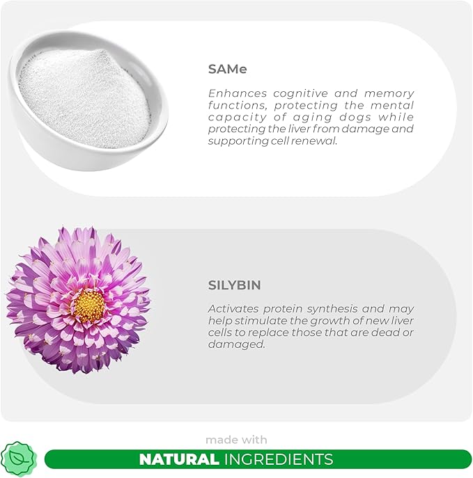 Same and Silybin for Cats - 120g - S-Adenosyl-L-Methionine, Same, Liver Supplements for Cats, Brain & Cognitive Support… (for Cats)