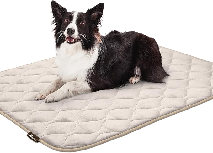 Paw Inspired Washable Padded Crate Mats for Dogs | 47” x 29” Pad, Fits 48-inch Kennels | Leakproof, Waterproof Bottom, Plush Pet Beds (Tan)
