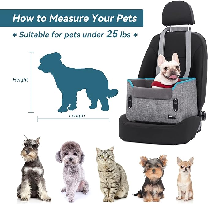 PETSFIT Small Dog Car Seat, Puppy Portable Dog Booster Car Seat for Car with Clip-On Leash, Adjustable Straps Suitable for Small Pets Up to 25lbs (Grey)