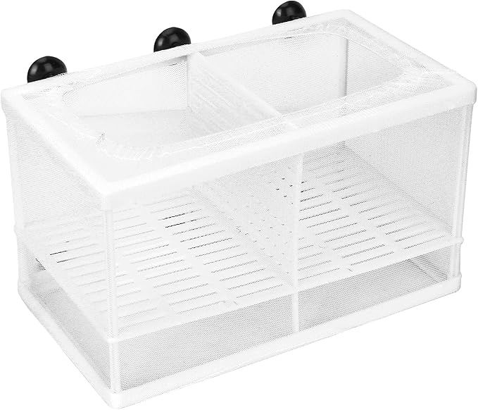 Aquarium Fish Breeder Box Isolation Box Breeder Hatchery Incubator with Suction Cup Large with dividers