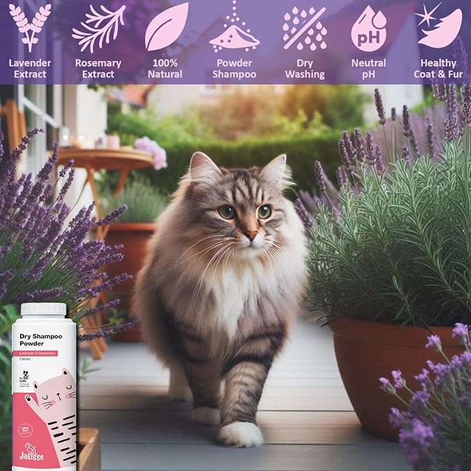 Cat Dry Shampoo Powder with Lavender and Rosemary for Cats 5.29 fl. oz| Grooming for Cat | Kitten Sensitive Skin | Cleansing and Moisturizing Perfume and Talc Free (1)