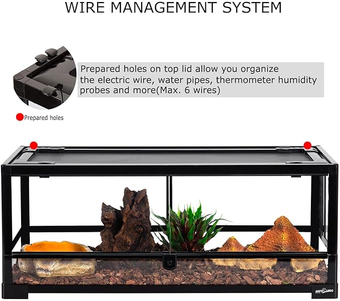 REPTI ZOO Glass Reptile Terrarium 20 Gallon, Front Opening Reptile Tank 30" x 12"x 12" for Reptile Pets Gecko Lizard Snake, Top Screen Ventilation Escape Proof Lid