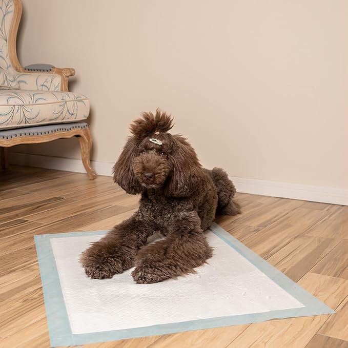 Best Pet Supplies, XL (36" x 27.5") Disposable Puppy Pads for Whelping Puppies and Training Dogs, 50 Pack - Ultra Absorbent, Leak Resistant, and Track Free for Indoor Pets - Baby Blue