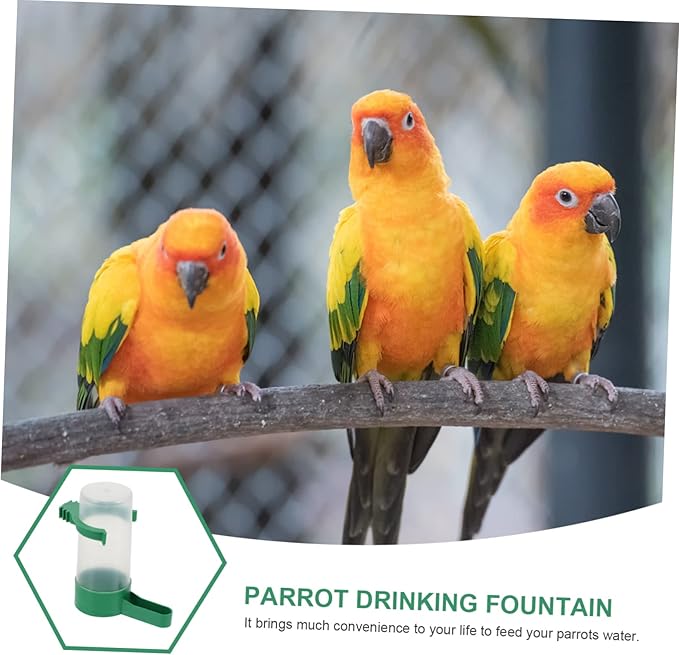 10pcs Bird Waterer Bird Food and Water Dispenser Parakeet Water Dispenser for Cage Pigeon Drinker Quail Drinker Rabbit Drinking Glasses Bird Water Drinker Utensils Plastic Squirrel