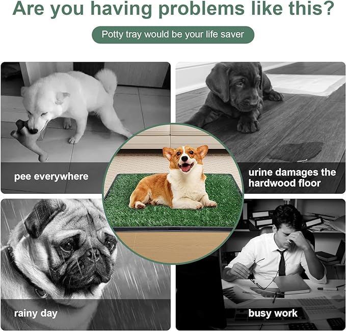 Dog Grass Pet Loo Indoor/Outdoor Portable Potty, Artificial Grass Patch Bathroom Mat and Washable Pee Pad for Puppy Training, Full System with Trays (Pet Training Tray, 20"x25")