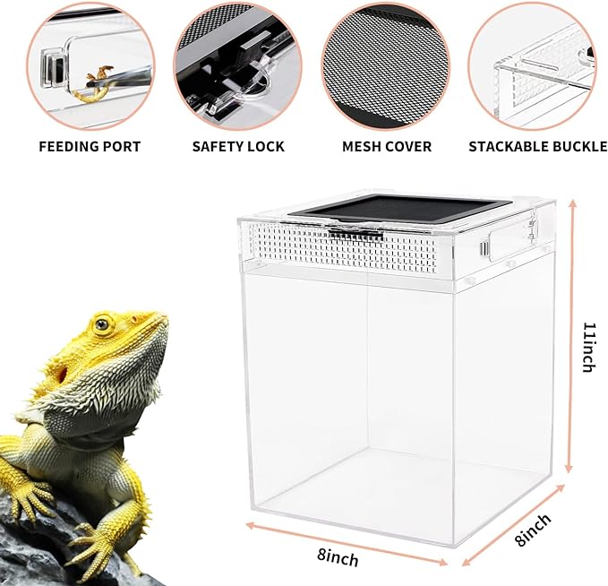 Reptileg Growth Tall Terrarium Set (PC), 8''*8''*11'' with Top Sliding Door Screen Ventilation Reptile Terrariums for Snake, Frog,Insect,Tarantula,Hermit Crab，Spider,Iguana,Tortoise,Bearded Dragon