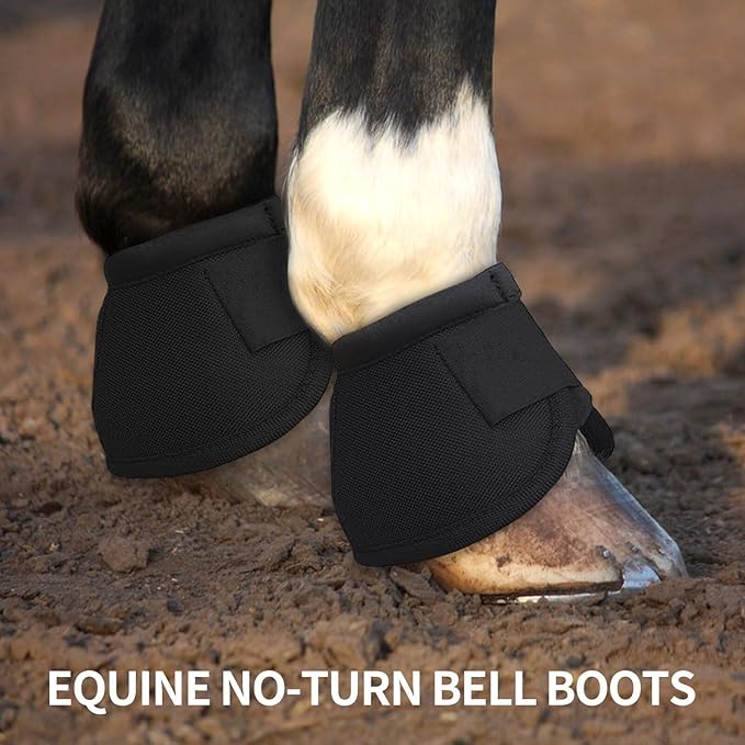 2 Pcs Horse Boots and Horse Leg Protectors, Horse Protection Training Equipment Packages and Accessories Black