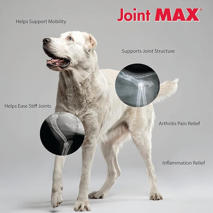 PHS Joint MAX Triple Strength (TS) Soft Chews for Dogs - Glucosamine, Chondroitin, MSM, Turmeric, Omega 3 - Hip and Joint Pain Relief and Support for Dogs - Made in USA - 30 Soft Chews