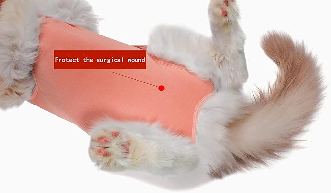 Cat Surgery Recovery Suit Female Kitten Cat Onesie for Cats After Surgery Spay Surgical Abdominal Wound Skin Diseases Cone Collar Soft Alternative Wear (Orange, L)