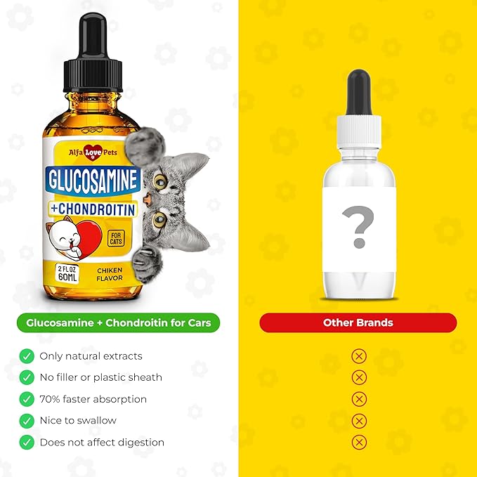 Glucosamine for Cats ✿ Cat Joint Supplement ✿ Cat Glucosamine ✿ Joint Supplement for Cats ✿ Glucosamine for Cats Liquid ✿ Glucosamine Chondroitin for Cats ✿ Chicken Flavor ✿ 2 Oz