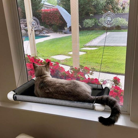 Lcybem Cat Hammocks for Window - Seat Suction Cups Space Saving Cat Bed, Pet Resting Seat Safety Cat Window Perch for Large Cats, Providing All Around 360° Sunbath for Indoor, Weighted up to 33lbs