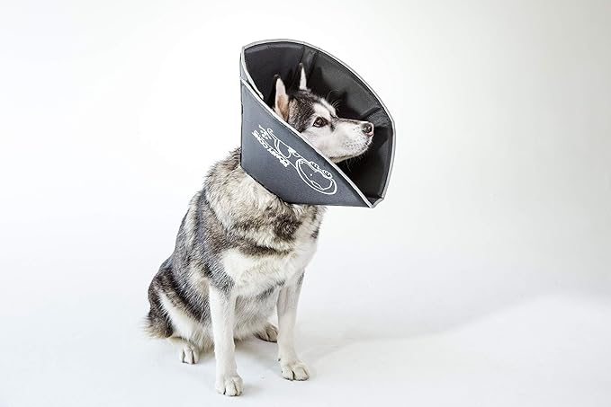 Comfy Cone Pet Cone for Dogs, Cats, Large, Black - Comfortable Soft Dog Cone Collar Alternative for After Surgery, Wound Care, Spay, Neuter - Dog and Cat Recovery Collar