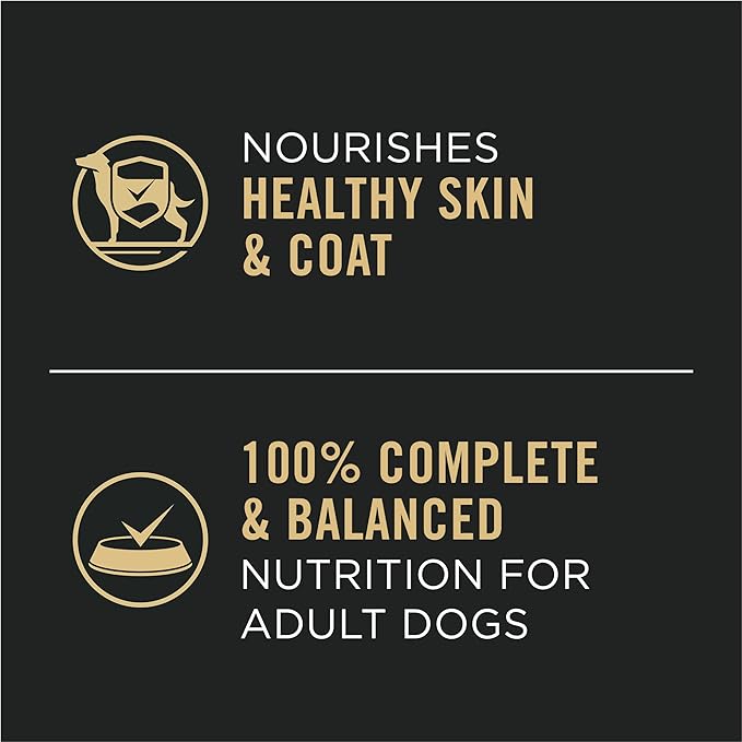 Pro Plan High Protein Wet Dog Food - Chicken & Vegetable Entrée - (12) 13oz Cans