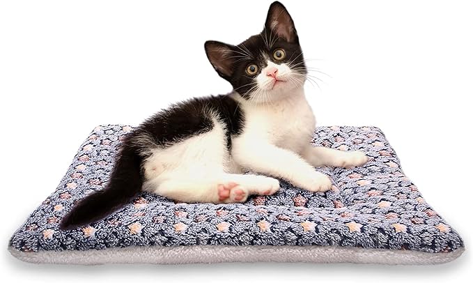 Fluffy Pet Cat Blanket Soft Coral Velvet Pet Puppy Cushion Mat Warm Cover Soft Pad Mat XL Dark Blue
