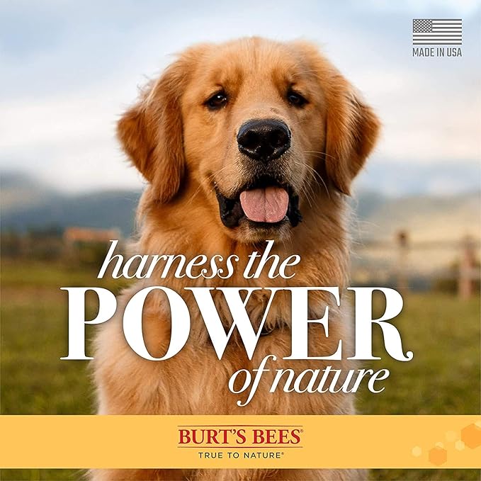 Burt's Bees for Pets Naturally Derived Oatmeal Conditioner with Colloidal Oat Flour and Honey - Oatmeal Dog Conditioner - Cruelty Free, Formulated without Sulfates and Parabens, 1 Gallon