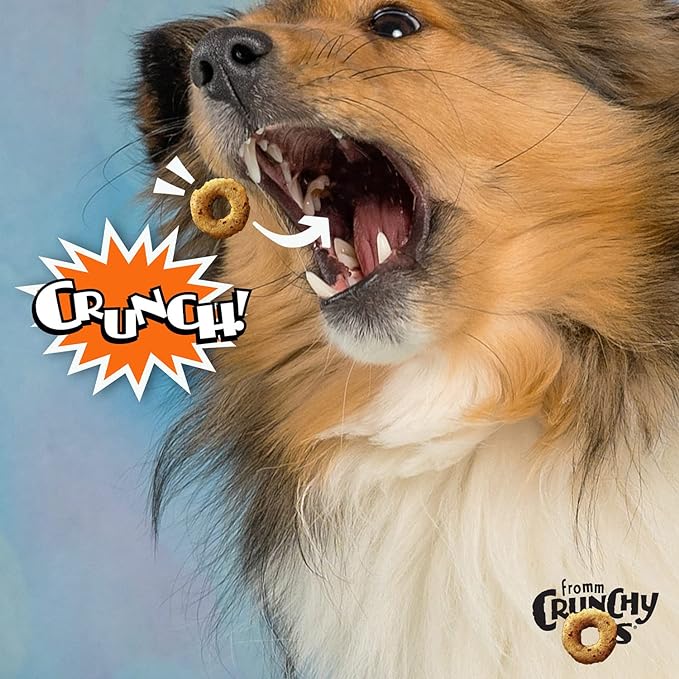 Fromm Crunchy Os Peanut Butter Jammers Dog Treats - Premium Crunchy Dog Treats - Peanut Butter Recipe - 6 oz