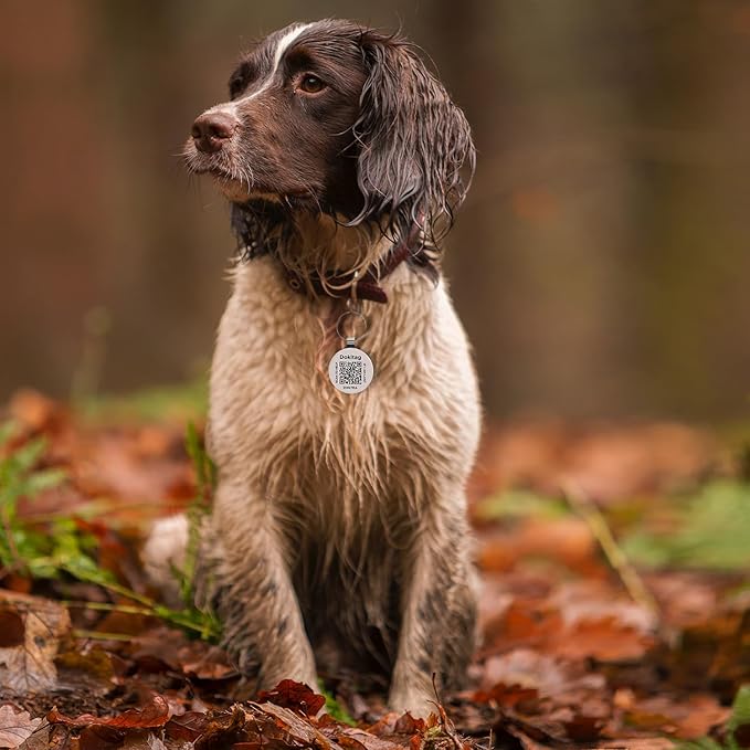 QR Code Pet ID Tag,QR Code Dog Tag，Dog ID Tag, Pet Online Profile - Scan QR Receive Instant Pet Location Alert Email, Lightweight Zinc Alloy Dog Tag (Small)