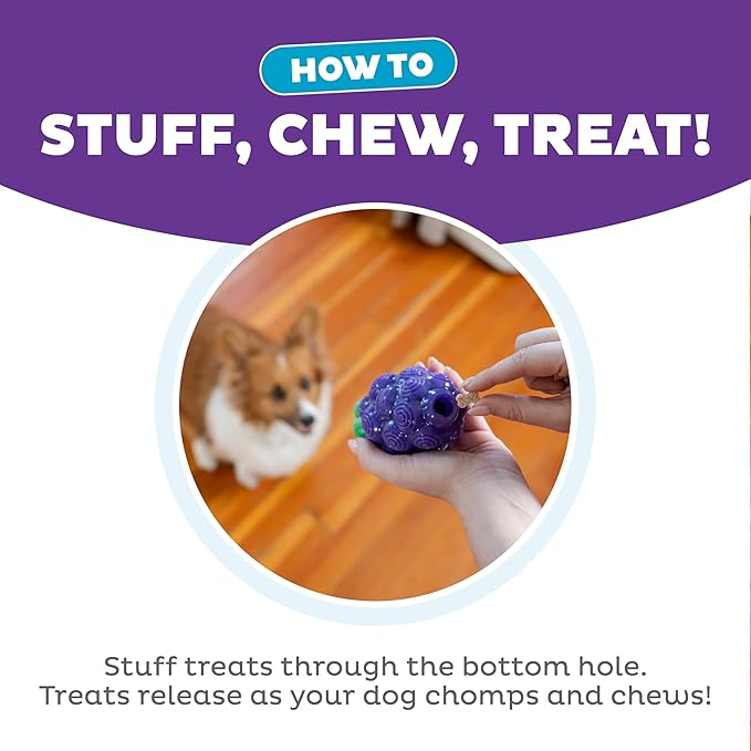 Outward Hound Dental Grapes Dental Chew Toy and Interactive Treat Stuffer Durable Dog Toy Stuffable Dog Toy, Medium, Purple