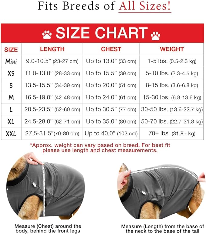 BellyGuard Recovery Suit for Dogs, After Surgery Dog Recovery Suit Female and Male, Soft Cotton Dog Surgery Suit Female Spay, Dog Surgical Recovery Suit Male Neuter, Comfy Surgical Onesie for Dogs.