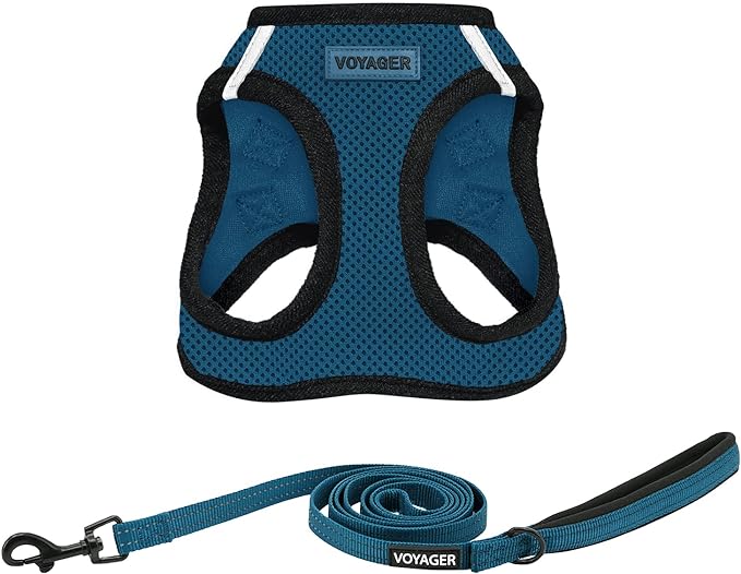 Voyager Step-in Air All Weather Mesh Harness and Reflective Dog 5 ft Leash Combo with Neoprene Handle, for Small, Medium and Large Breed Puppies by Best Pet Supplies - Blue/Black Trim, XX-Small