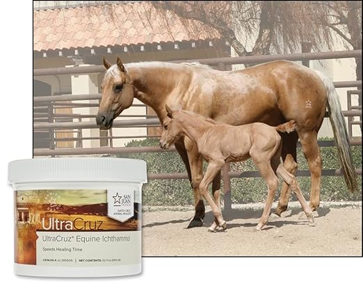 UltraCruz Ichthammol Ointment for Horses, 32 oz