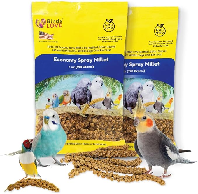 Birds LOVE Economy & Thin Special Spray Millet | GMO-Free (No Stems Only Edible Tops) for Birds Cockatiel, Lovebird, Parakeet, Finch, Canary All Parrots Healthy Treat 7 oz -Pack of 2