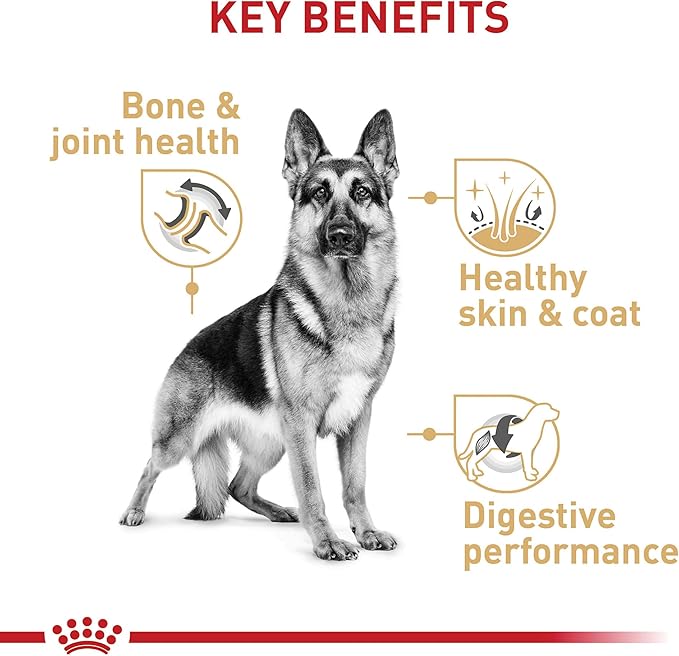 Royal Canin German Shepherd Adult Dry Dog Food, 17 lb bag