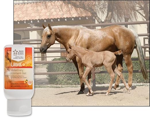 UltraCruz - sc-516109 Veterinary Liniment Gel for Horses, 3 oz