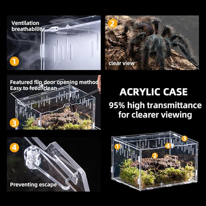 Reptile Terrarium Breeding Tank Acrylic Box (Spider, Tarantula, Snake, Lizard) Small Animal Viewing Box. 11.81 "x9.7 x7.6 (Type A)