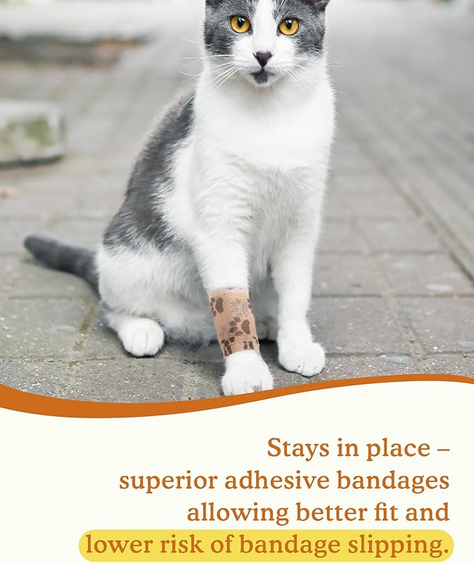 Self Adhesive Bandage Wrap - Non-Woven Bandage Wrap for Wounds Cover, Paws, Leg, Bitter Vet Wrap for Dogs No Chew, Cohesive Bandage Wrap for Animal Cat Horses Birds (2 Inch, 8 Rolls, 2 Colors)