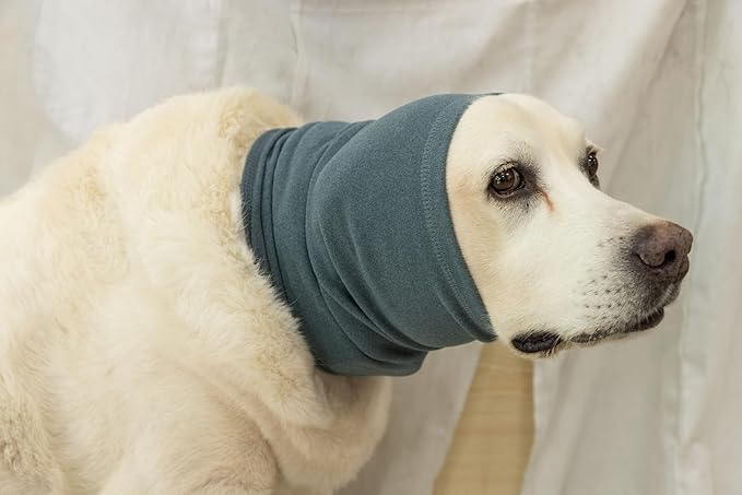 Medium Dog Hoodies Noise Ear Covers for Dogs Ear Protectors No Flap Dog Quiet Ears Noise Cancelling Headphones for dogs Aqua Blue M