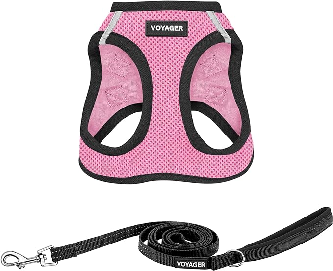 Voyager Step-in Air All Weather Mesh Harness and Reflective Dog 5 ft Leash Combo with Neoprene Handle, for Small, Medium and Large Breed Puppies by Best Pet Supplies - Pink Base, XS