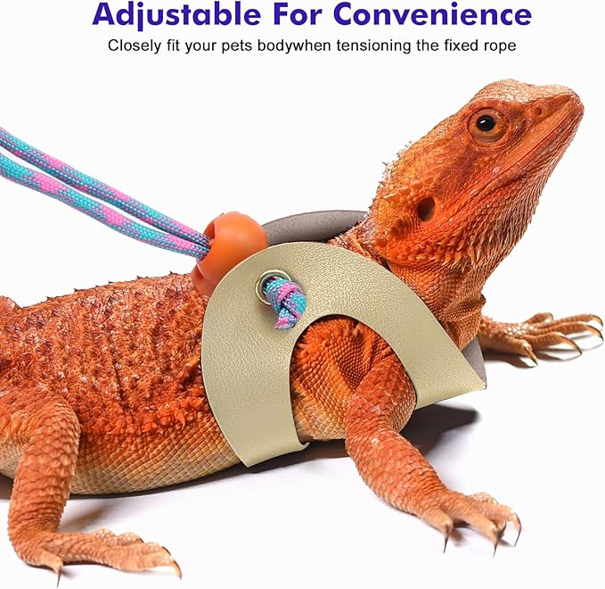 Bearded Dragon Lizard Leash Harness,4 Size Pack Adjustable Small Animal Harness for Reptile and Small pet (Gold)