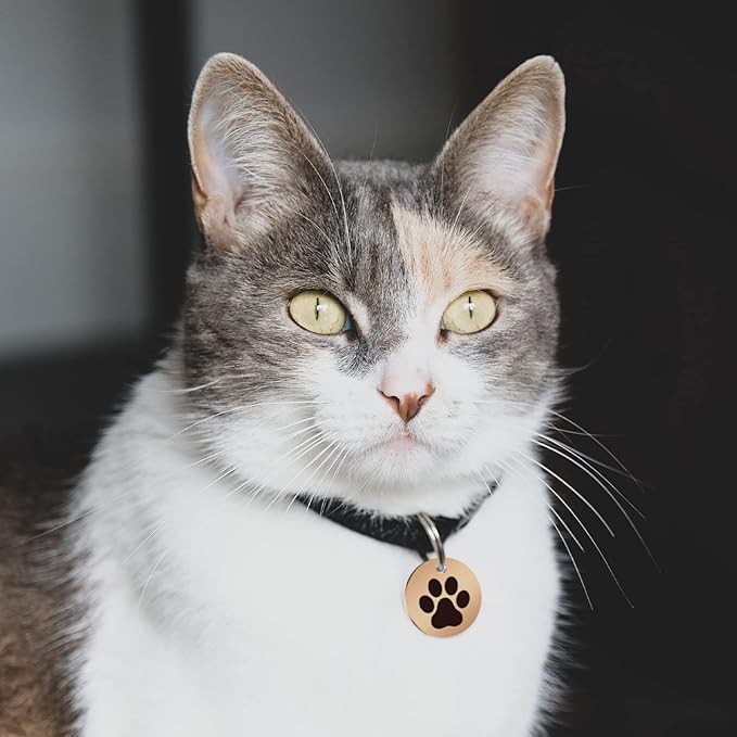 MYLUCKYTAG Stainless Steel QR Code Pet ID Tags Cat Tags - Pet Online Profile - Scan QR Receive Instant Pet Location Alert Email