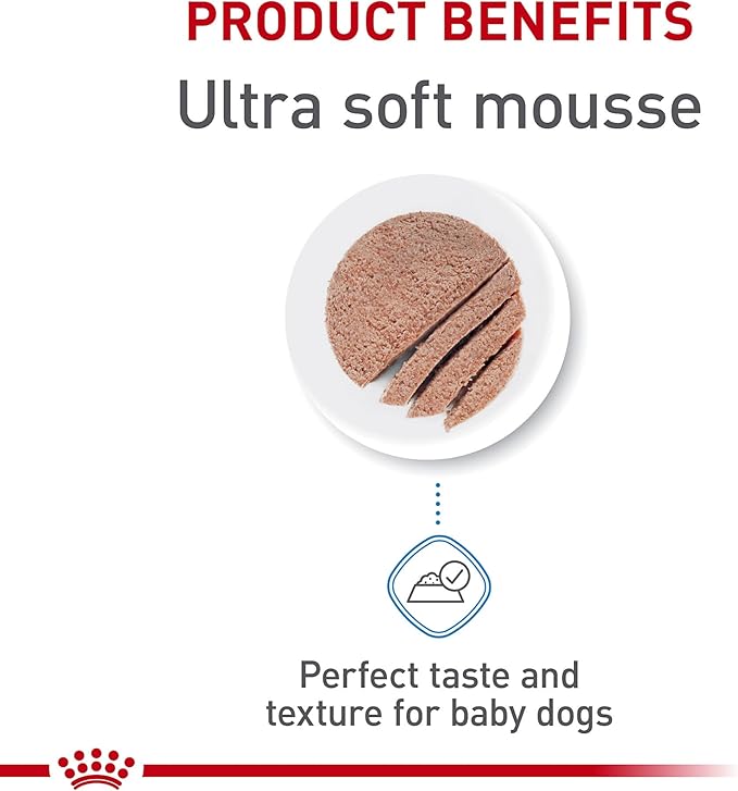 Royal Canin Size Health Nutrition Small Mother & Babydog Starter Mousse in Sauce Wet Dog Food, 5.1 oz can (24-count)