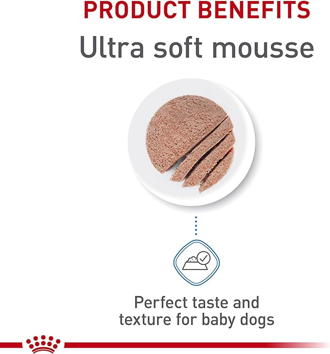 Royal Canin Size Health Nutrition Small Mother & Babydog Starter Mousse in Sauce Wet Dog Food, 5.1 oz can (24-count)