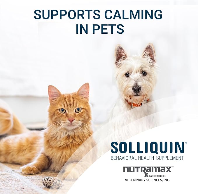 Nutramax Solliquin Calming Behavioral Health Supplement for Small to Medium Dogs and Cats - with L-Theanine, Magnolia/Phellodendron, and Whey Protein Concentrate, 75 Soft Chews